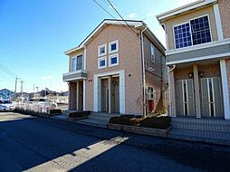 エヴァーグリーンIIIＢ