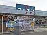 周辺：【ホームセンター】コーナン片町店まで246ｍ