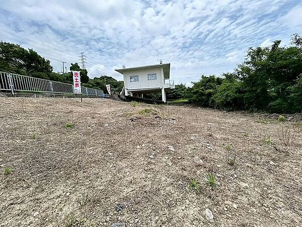 2026年5月撮影