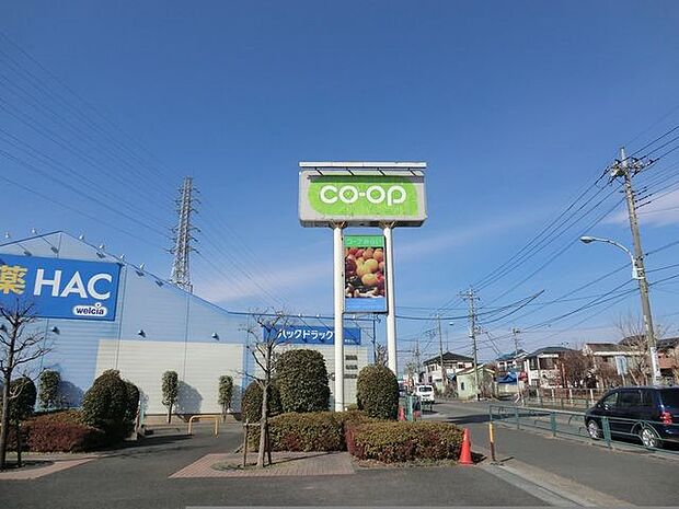 スーパー 160m コープみらい コープときわ店