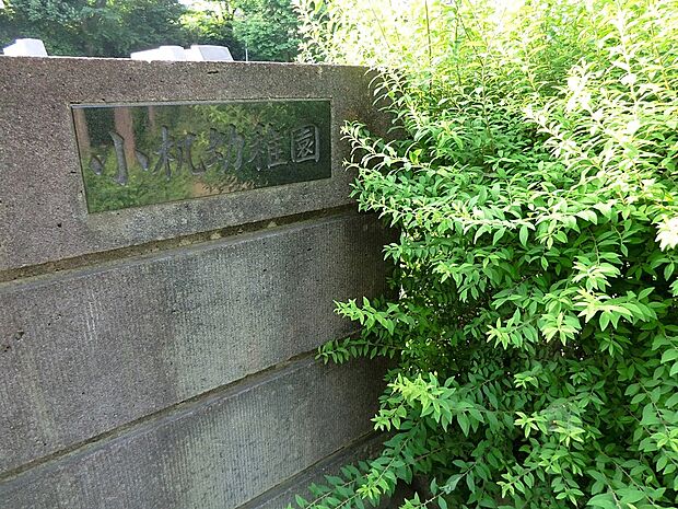 幼稚園・保育園 400m 小机幼稚園