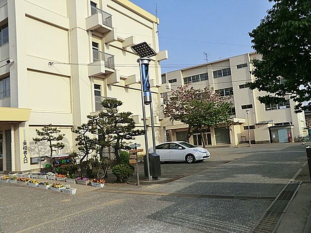 小学校 500m 茅ヶ崎市立小和田小学校