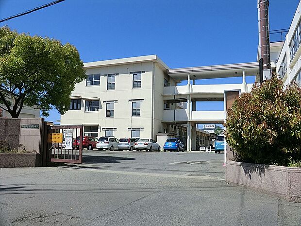 小学校 1150m 平塚市立相模小学校