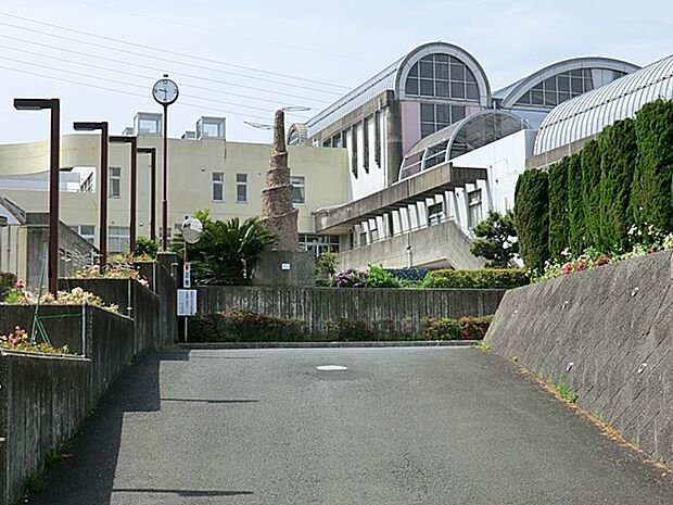 中学校 1400m 逗子市立沼間中学校