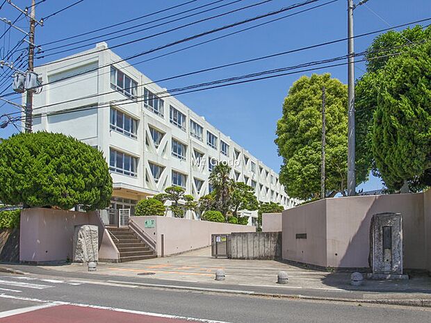 小学校 1800m 藤沢市立御所見小学校