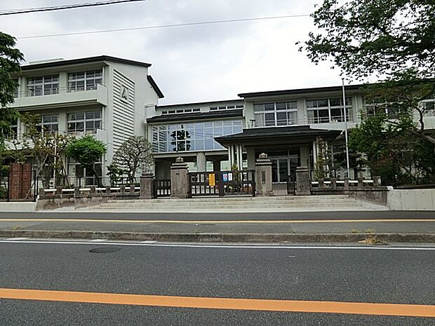 小学校 650m 秦野市立本町小学校