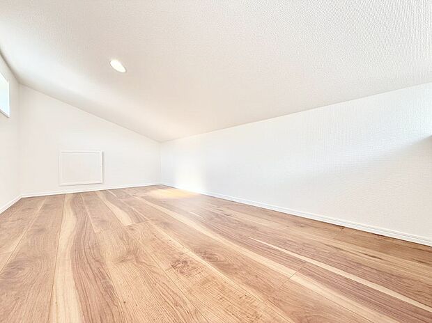 ■+αのスペース!ロフト付き!