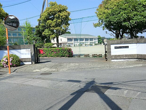 中学校 1760m 平塚市立金旭中学校