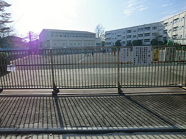 小学校 800m 横浜市立小雀小学校