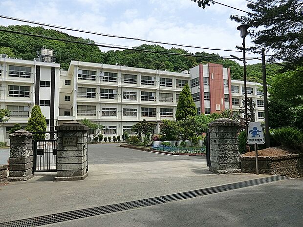 中学校 1120m 逗子市立逗子中学校