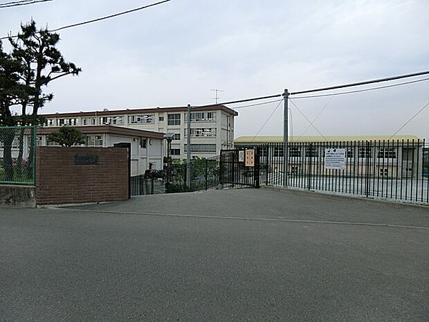中学校 550m 茅ヶ崎市立松林中学校