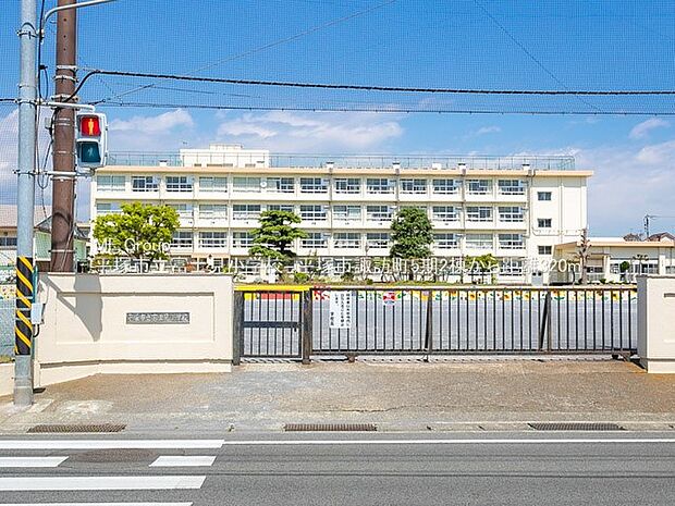 小学校 1022m 平塚市立富士見小学校