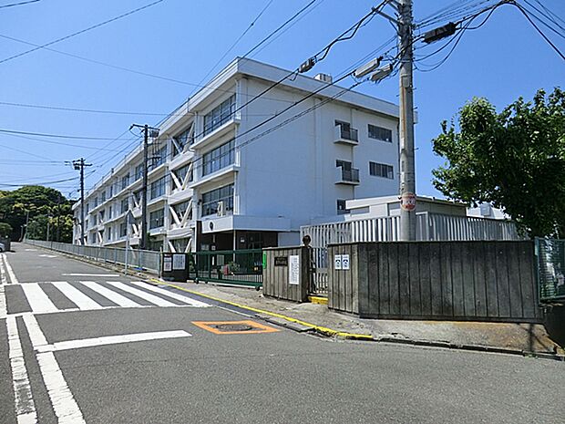小学校 900m 横須賀市立岩戸小学校