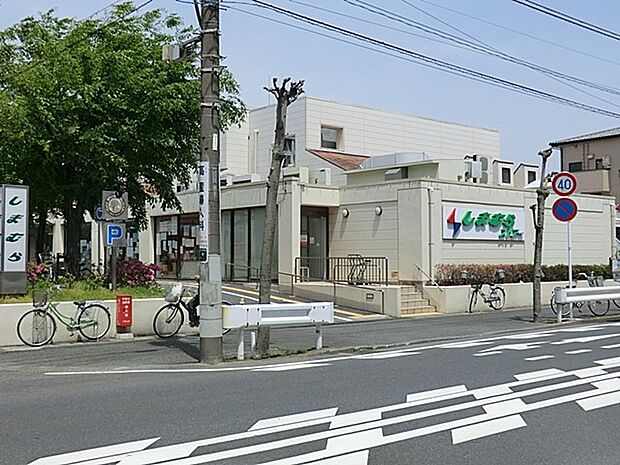 スーパー 700m しまむらストアー すみれ平店