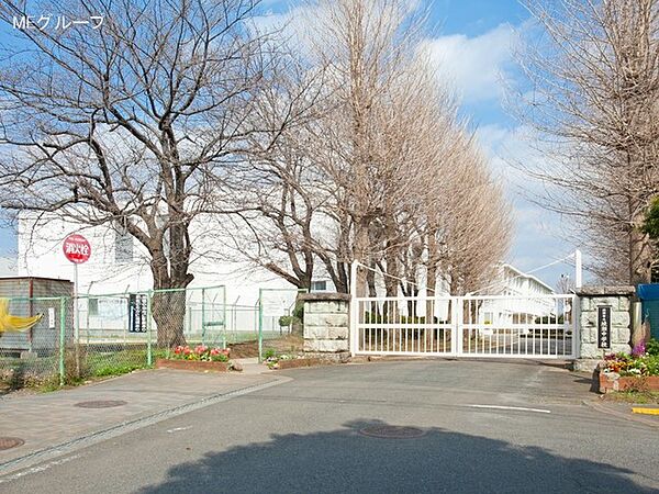 中学校 2900m 綾瀬市立綾瀬中学校