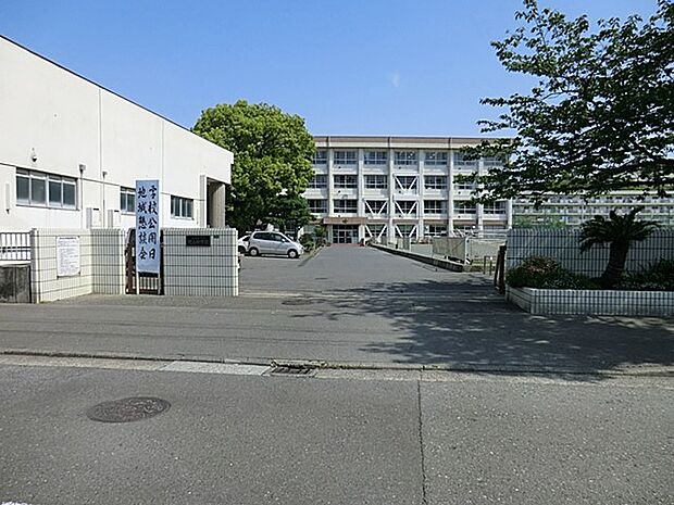 中学校 800m 横須賀市立武山中学校