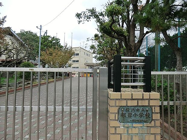 小学校 1132m 横浜市立根岸小学校