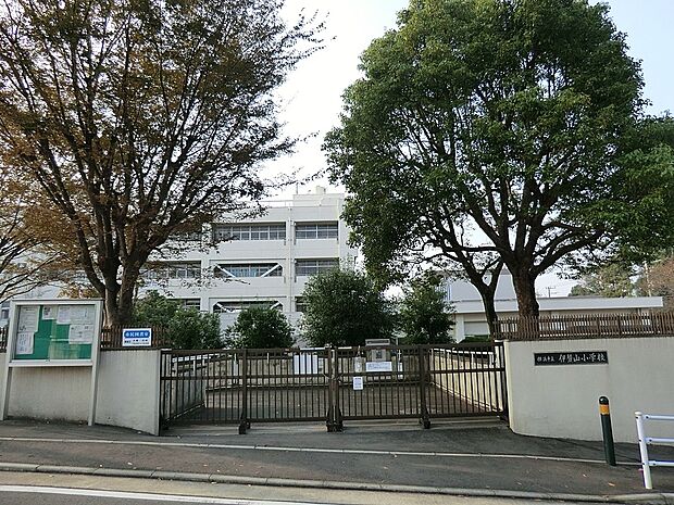 小学校 160m 横浜市立伊勢山小学校