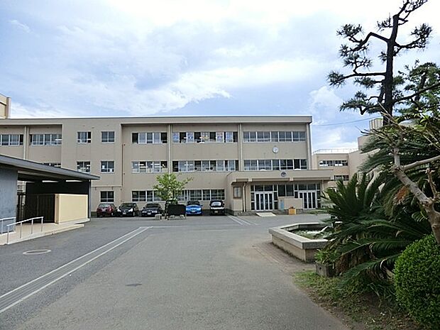 中学校 800m 茅ヶ崎市立第一中学校