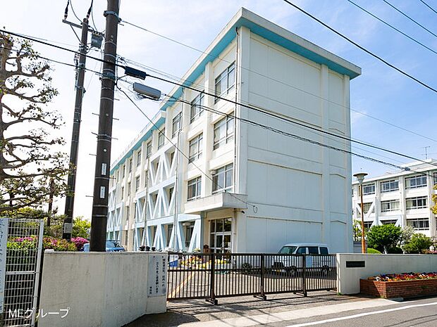 小学校 500m 藤沢市立湘南台小学校