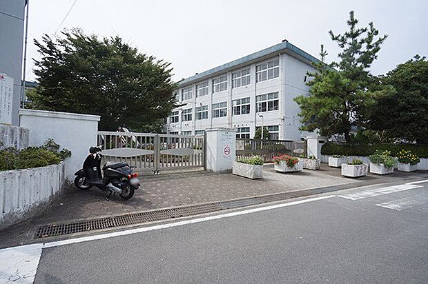 小学校 560m 小田原市立富水小学校