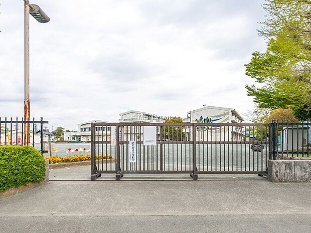 小学校 550m 羽村市立羽村西小学校