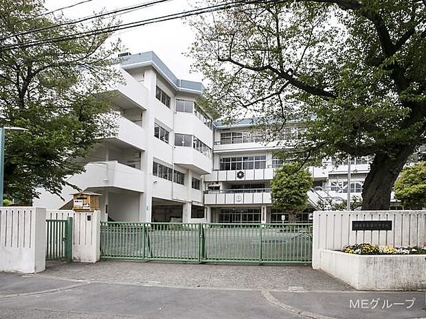 中学校 800m 調布市立第八中学校