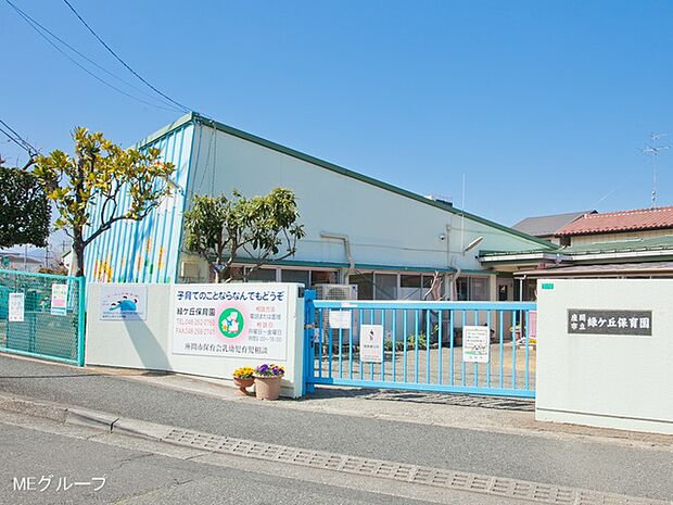 幼稚園・保育園 1000m 緑ケ丘保育園