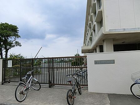 小学校 120m 藤沢市立浜見小学校