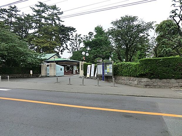 幼稚園・保育園 1500m 相模女子大学幼稚部