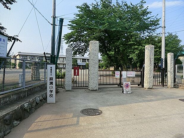小学校 1300m 相模原市立麻溝小学校