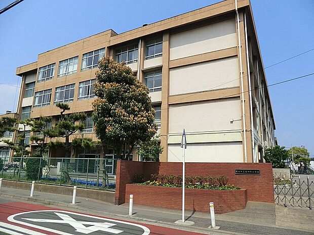 小学校 850m 藤沢市立亀井野小学校