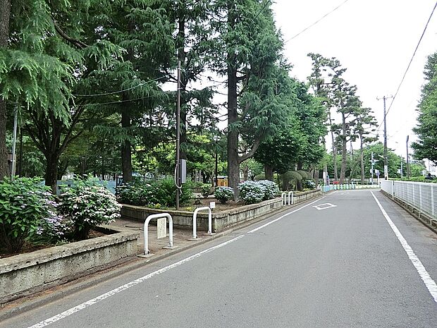 公園 650m 相模台公園