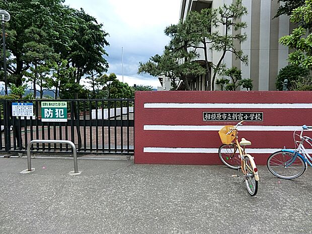 小学校 1000m 相模原市立新宿小学校