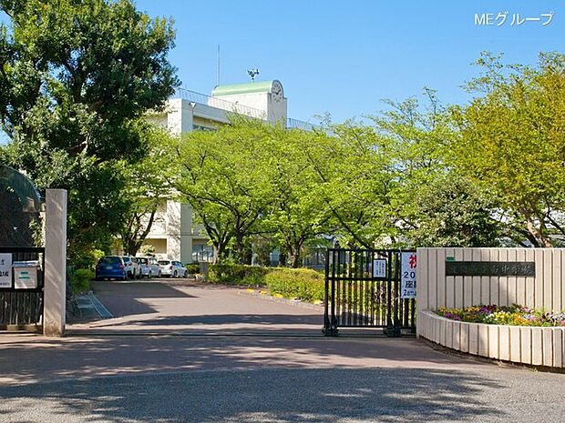 中学校 1100m 座間市立南中学校