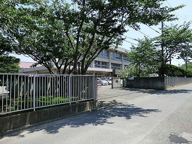 小学校 1100m 横須賀市立神明小学校