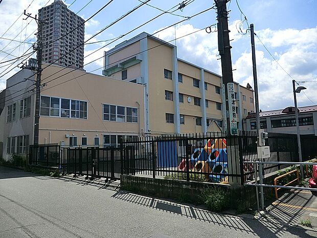 幼稚園・保育園 600m 橋本幼稚園