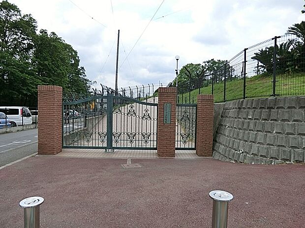 幼稚園・保育園 1100m 大和みどりが丘幼稚園