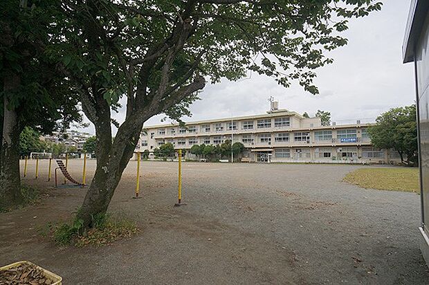 小学校 760m 小田原市立早川小学校