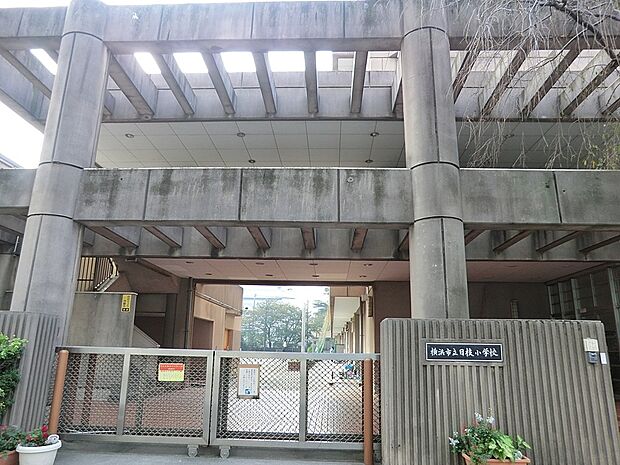 小学校 900m 横浜市立日枝小学校