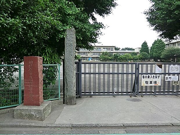 小学校 1400m 相模原市立淵野辺小学校