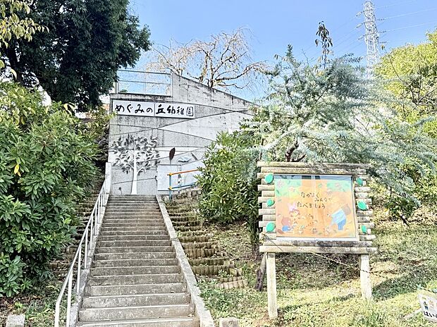 幼稚園・保育園 1100m めぐみの丘幼稚園