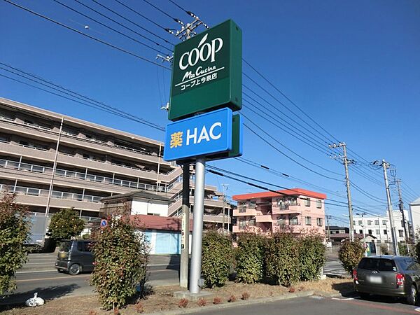 スーパー 800m ミアクチーナ上今泉店