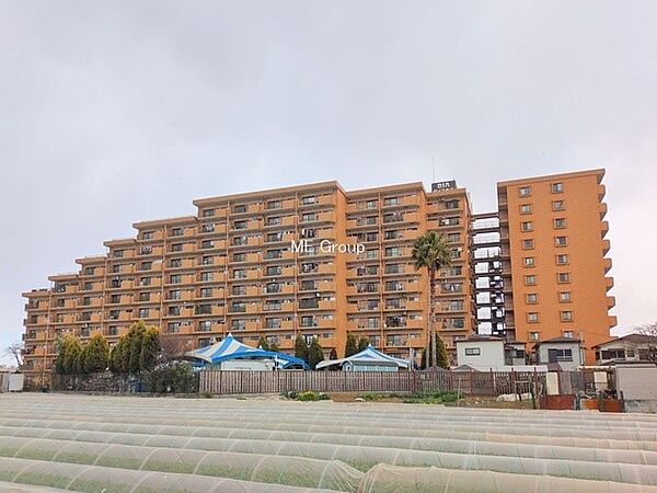 ■家族みんなが笑顔で過ごせる、安心感のある住まい