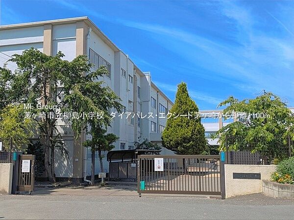 小学校 1100m 茅ヶ崎市立柳島小学校
