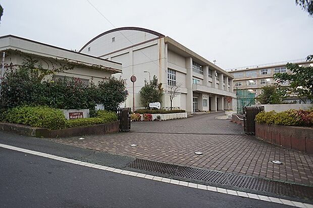 中学校 1400m 小田原市立城山中学校