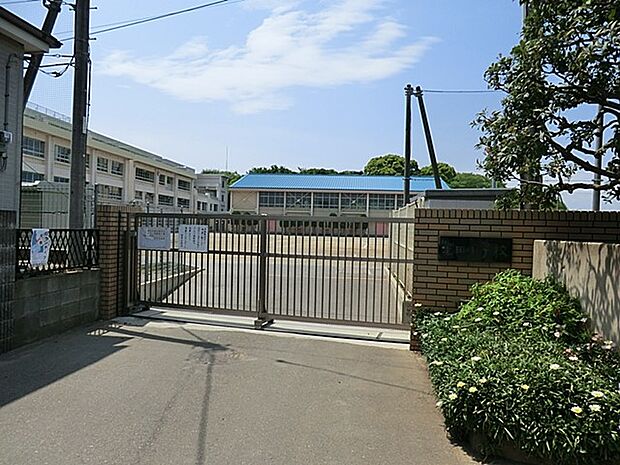 小学校 650m 茅ヶ崎市立室田小学校