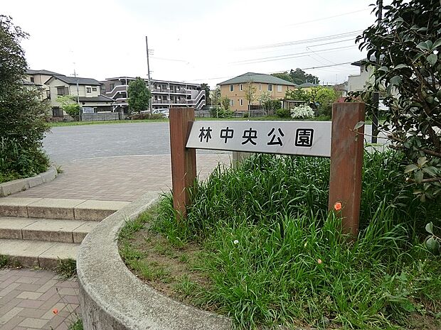 公園 650m 林中央公園