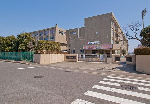 中学校 550m 厚木市立林中学校