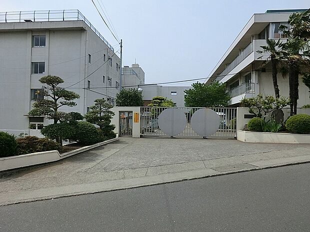 小学校 750m 秦野市立大根小学校